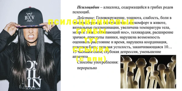 а пвп мука Верхний Тагил