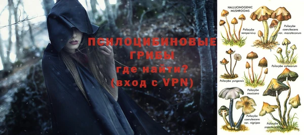 МДПВ Волоколамск